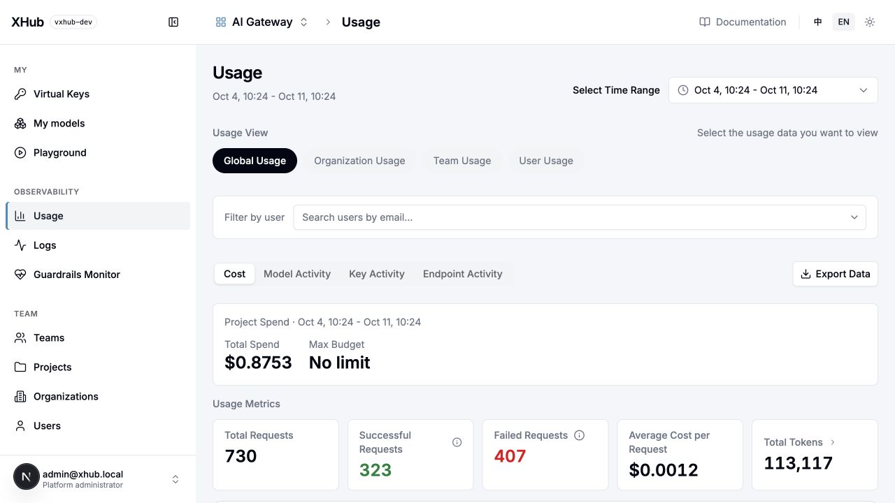 English Usage time range, scope, cost and request metrics